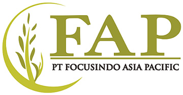 FOCUSINDO ASIA PACIFIC, PT